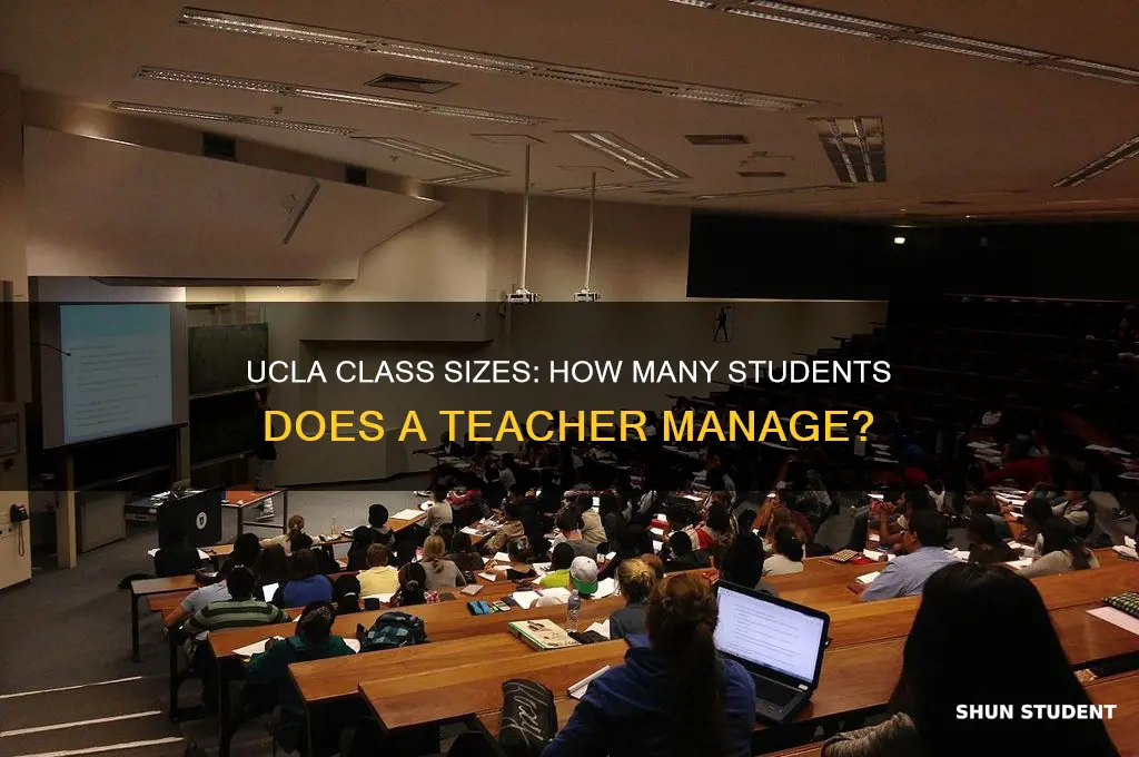 how many students does a teacher have in ucla