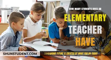 Elementary Teacher Class Sizes: Understanding Student-to-Teacher Ratios
