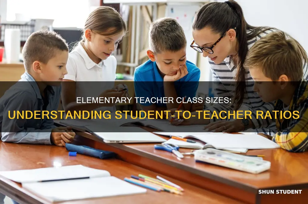 how many students does an elementary teacher have