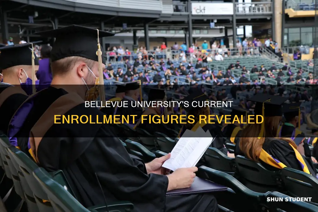 how many students does bellevue university have enrolled currently