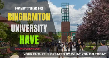 Binghamton University's Student Population: How Many?