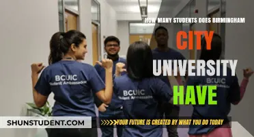 Birmingham City University: Student Population Insights