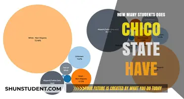Exploring the Student Population at Chico State University