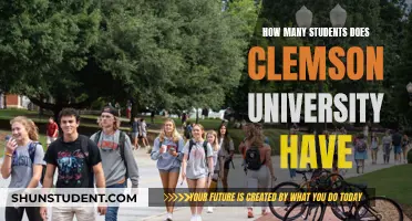 Exploring Clemson University's Student Population