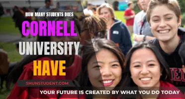 Exploring Cornell's Student Population: A Comprehensive Overview