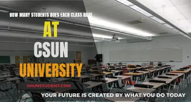 Class Sizes at CSUN: How Many Students?