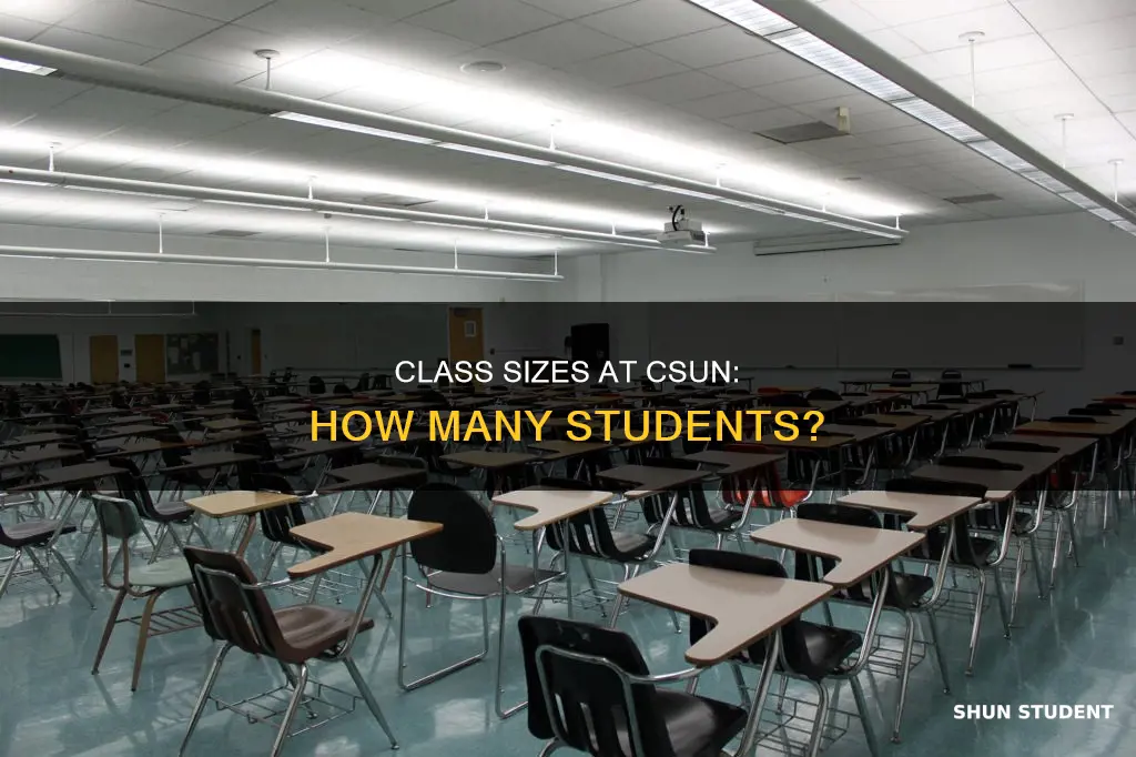 how many students does each class have at csun university