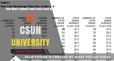 Class Sizes at CSUN: How Many Students?
