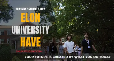 Exploring Elon University's Student Population: Numbers and Insights