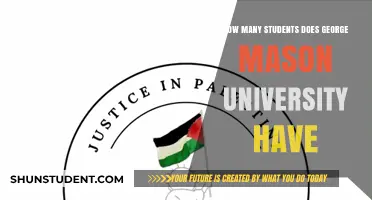 Mason Student Population: How Many?