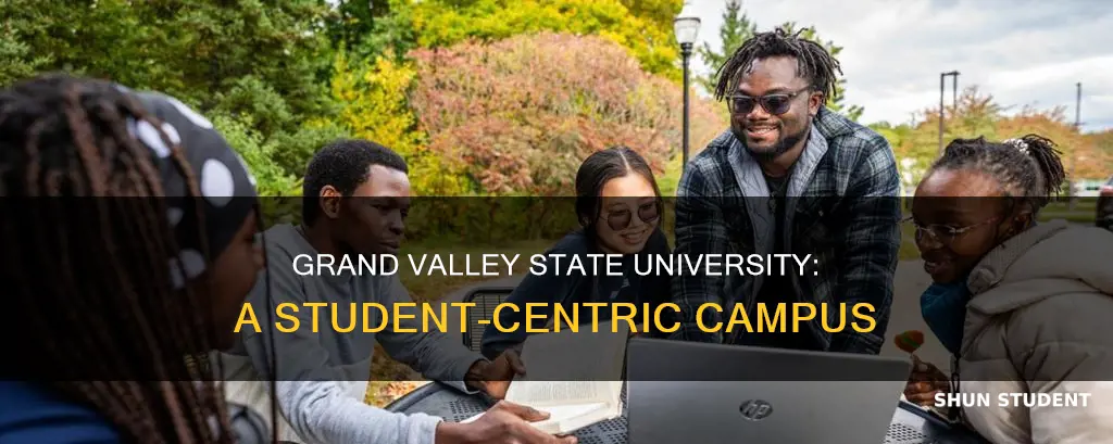 how many students does grand valley state university have