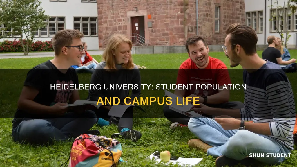 how many students does heidelberg university have