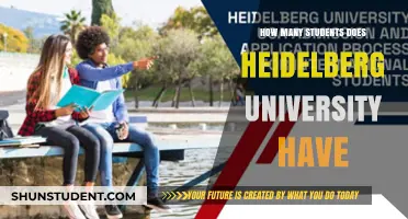 Heidelberg University: Student Population and Campus Life