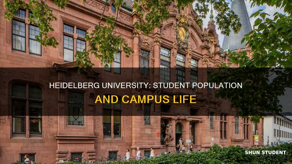 how many students does heidelberg university have