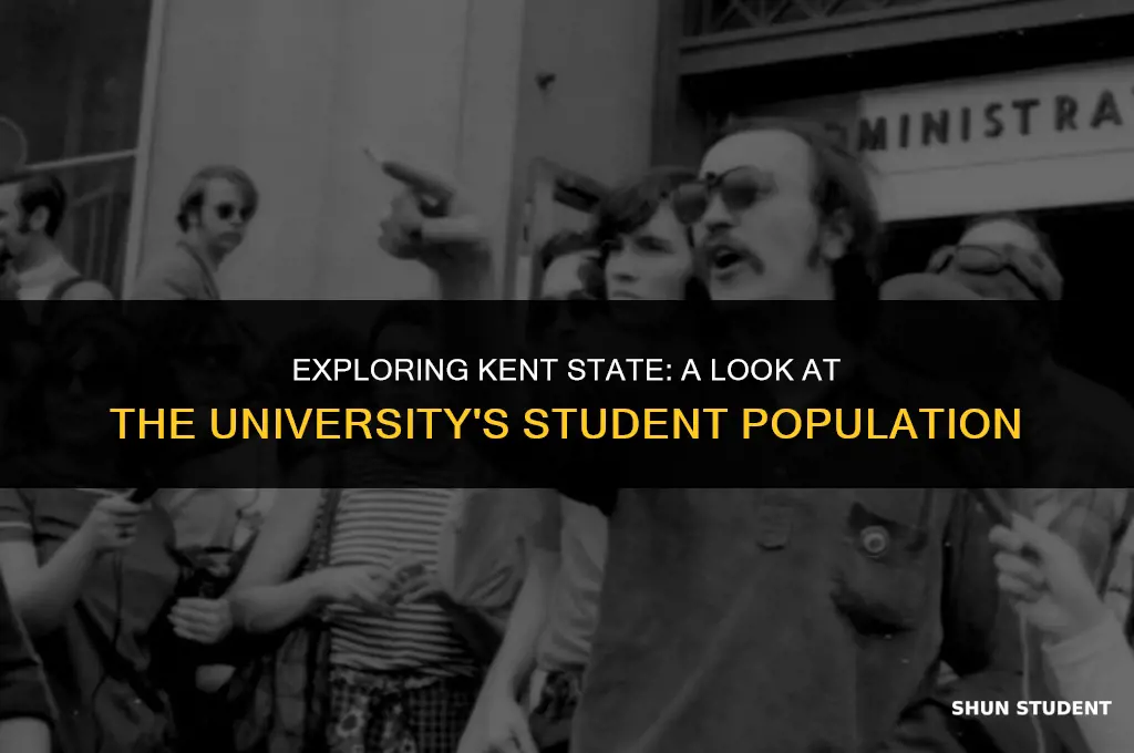 how many students does kent state have