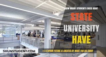 Exploring Kent State University's Student Population