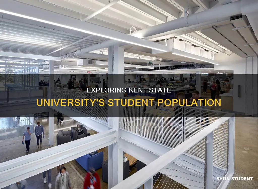 how many students does kent state university have