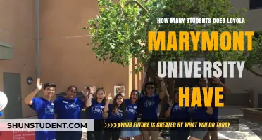 Loyola Marymount University: Student Population Insights