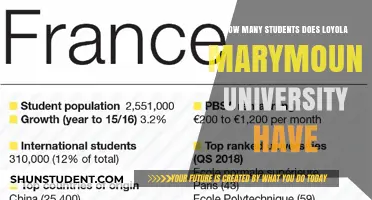 Loyola Marymount University's Student Population: How Many?