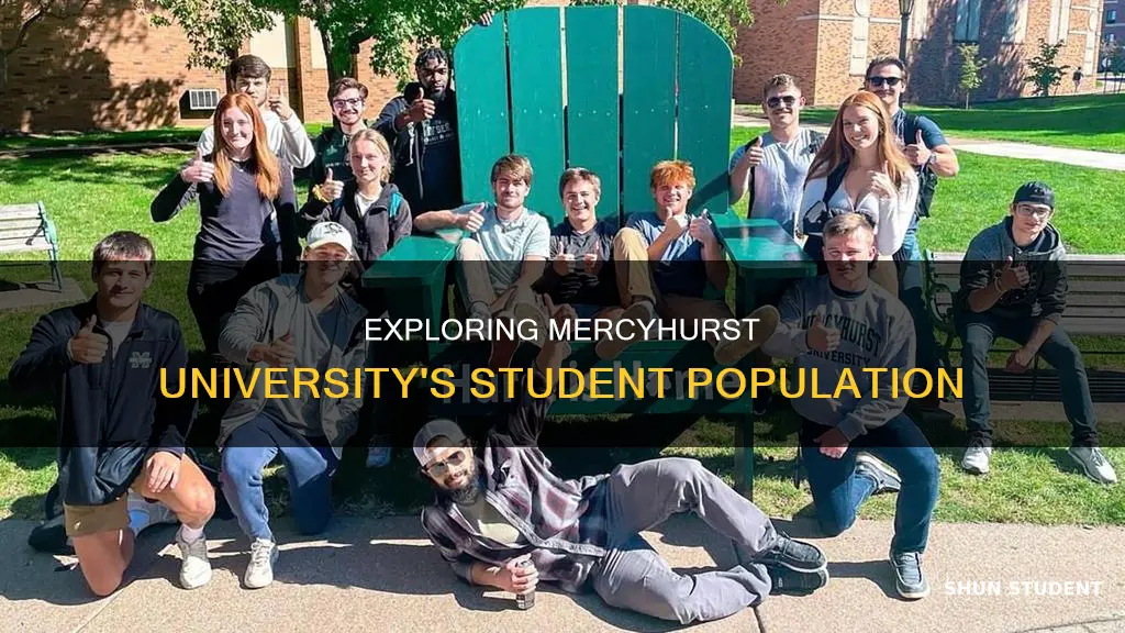 how many students does mercyhurst university have