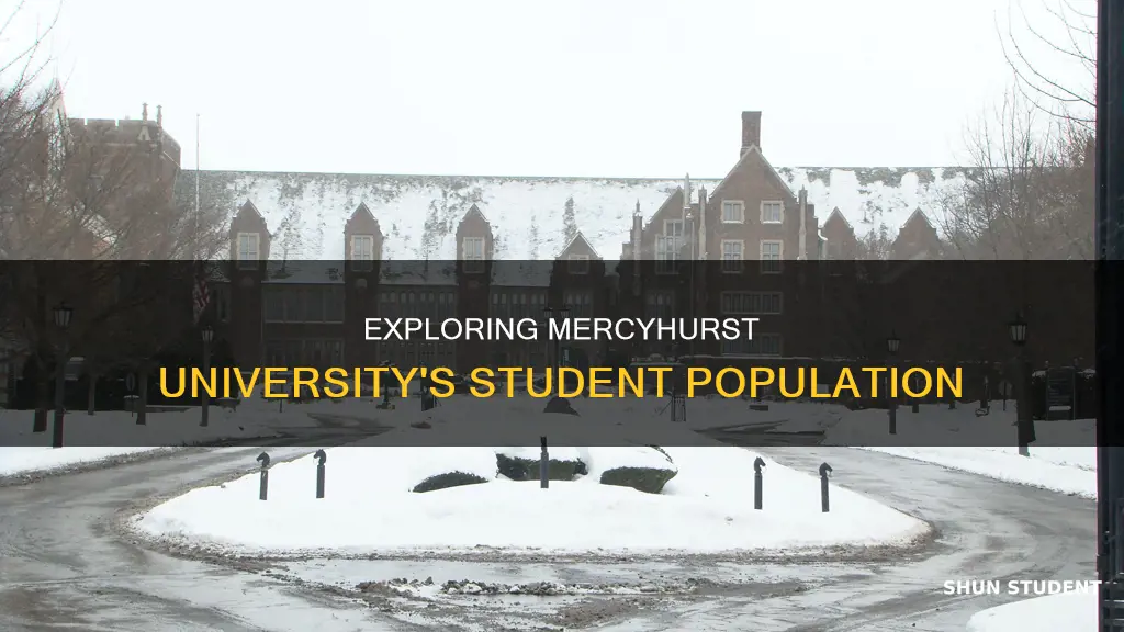 how many students does mercyhurst university have