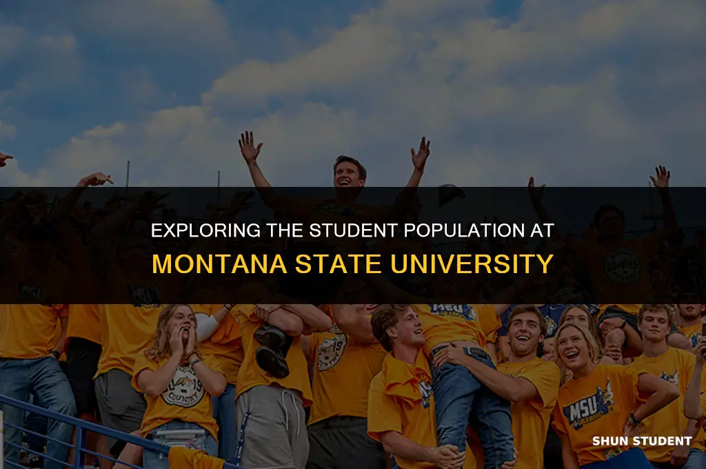 how many students does montana state have