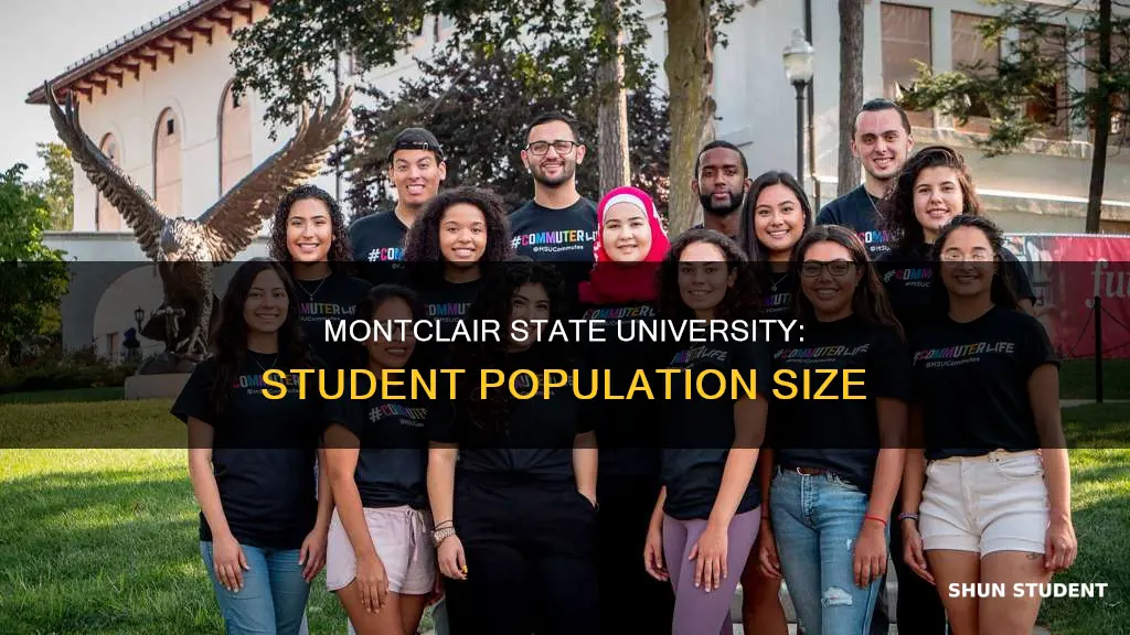 how many students does montclair state university have