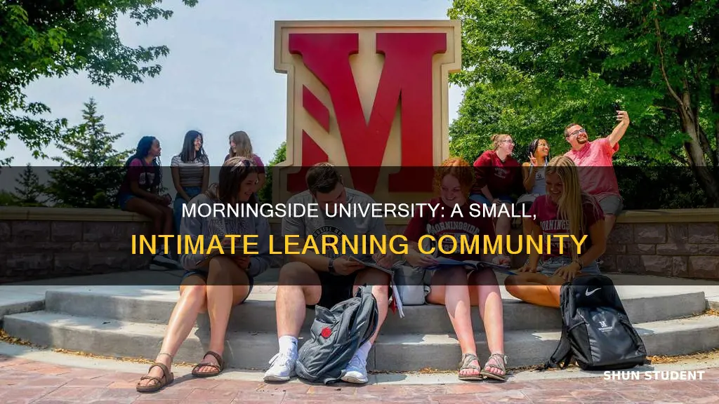 how many students does morningside university have