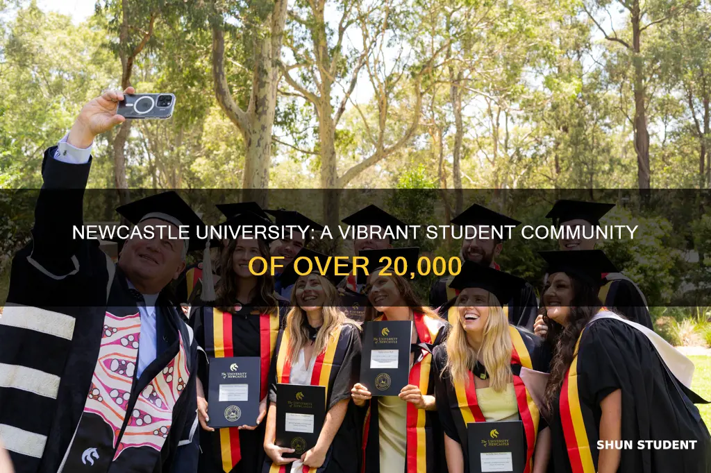 how many students does newcastle university have