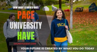 Pace University's Student Population: How Many Are There?