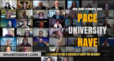 Pace University's Student Population: How Many?