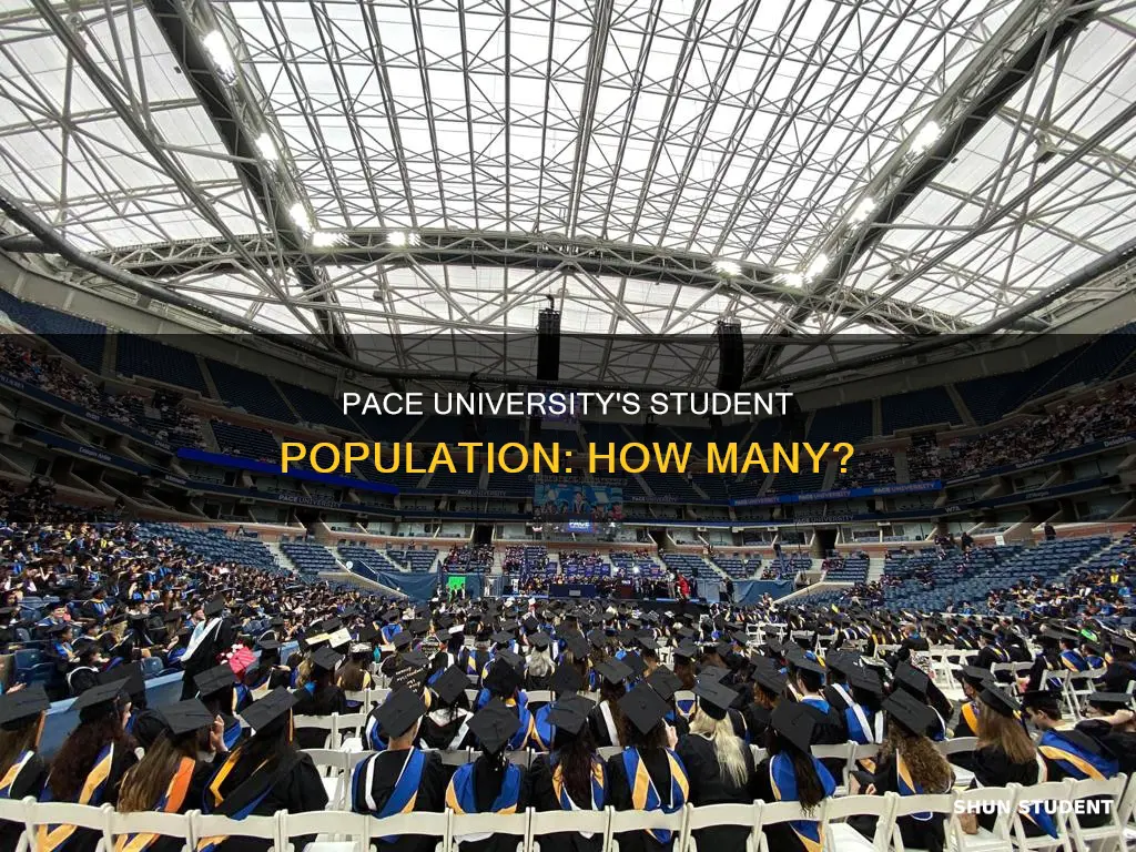 how many students does pace university have