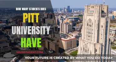 Pitt University: A Student-Centric Campus Community