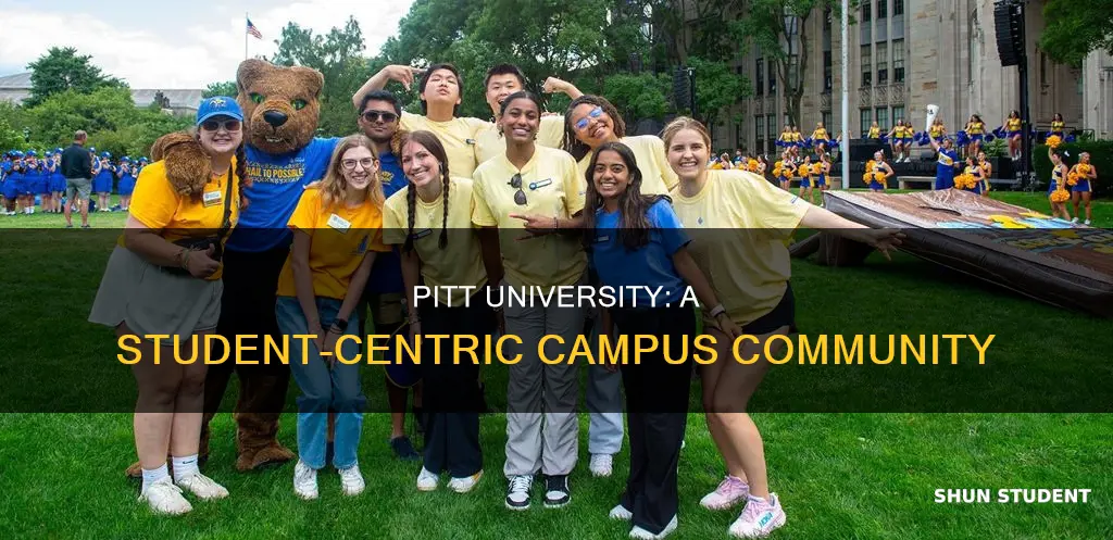 how many students does pitt university have