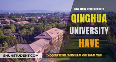 Prestigious Qinghua University: Student Population and More