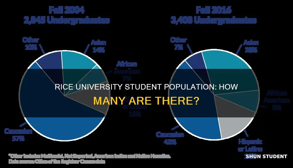 how many students does rice university have