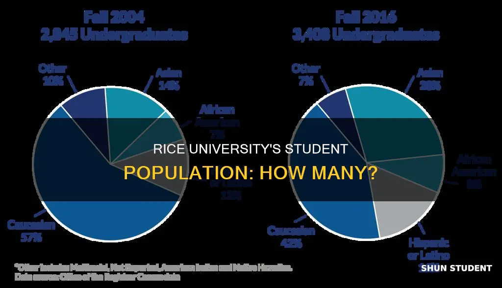 how many students does rice university have
