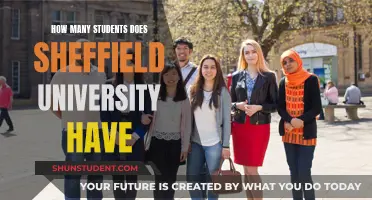 Exploring Sheffield University's Student Population: A Comprehensive Overview