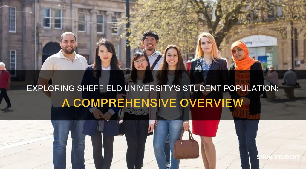 how many students does sheffield university have