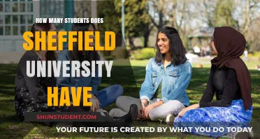 Sheffield University: A Thriving Student Community