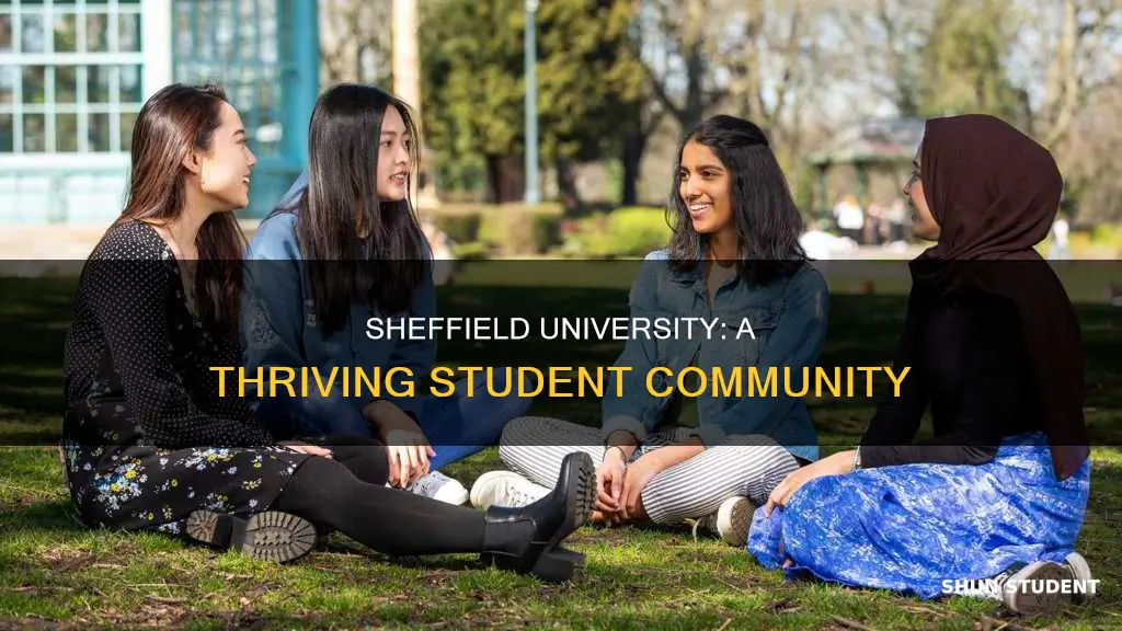 how many students does sheffield university have