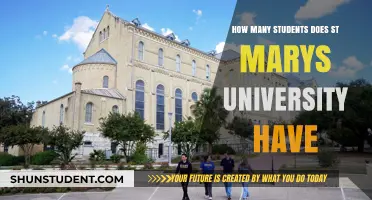 St. Mary's University: Student Population Insights