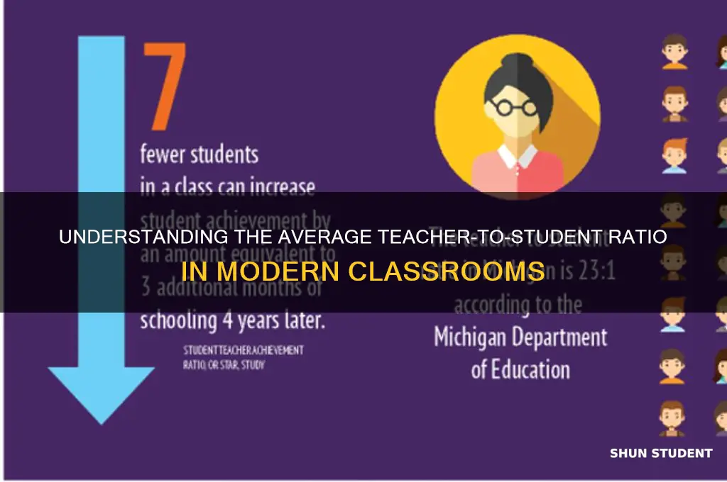 how many students does the average teacher have