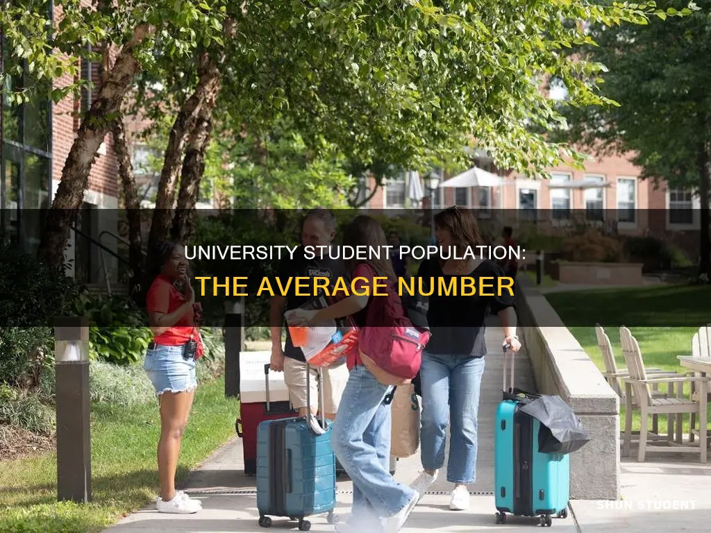 how many students does the average university hae