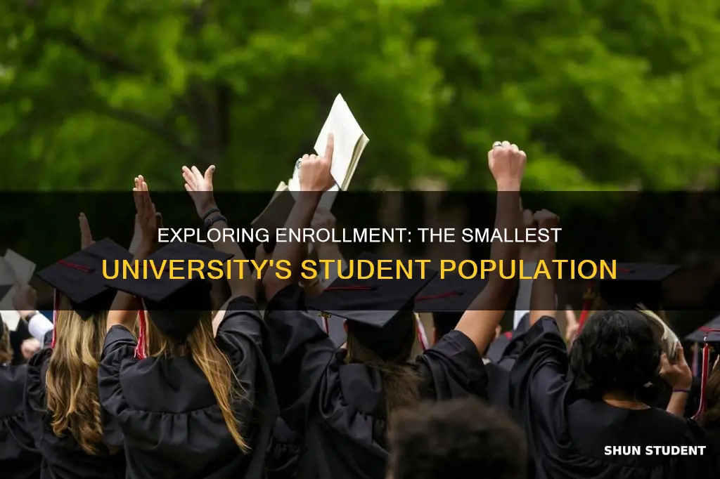 how many students does the smallest university have