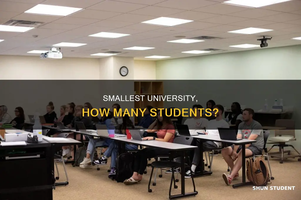 how many students does the smallest university have
