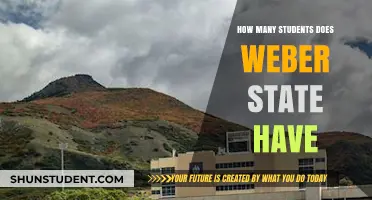 Exploring Weber State University's Student Population: A Comprehensive Overview