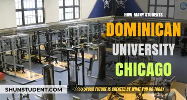 Dominican University Chicago: Student Population Insights