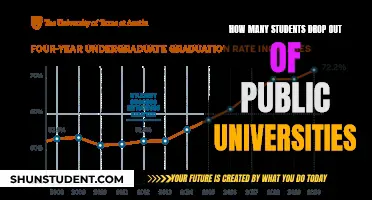 Dropout Crisis: Public Universities Losing Too Many Students