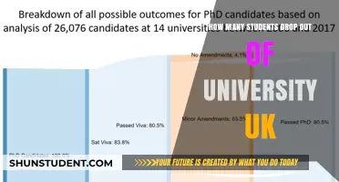 University Dropouts: A Concerning UK Trend